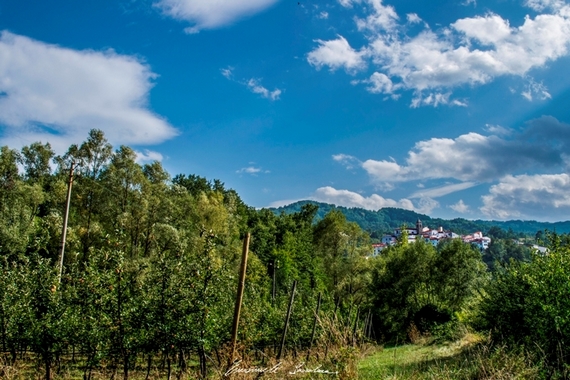 Castel del Giudice - Agricoltura -  Credit Emanuele Scocchera