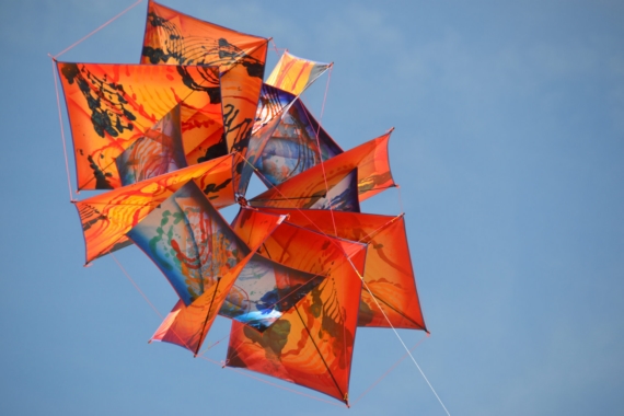 DSC 6209-scaled 570