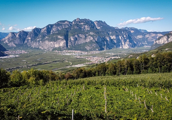 Pressano-Sorni-Moser-Trento570