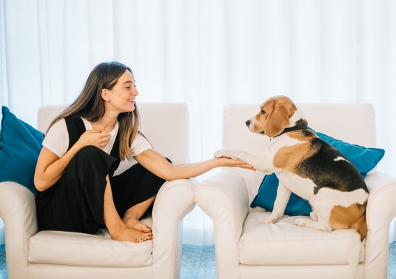 Ricci Hotels - Pongo 6 pet friendly 23 570