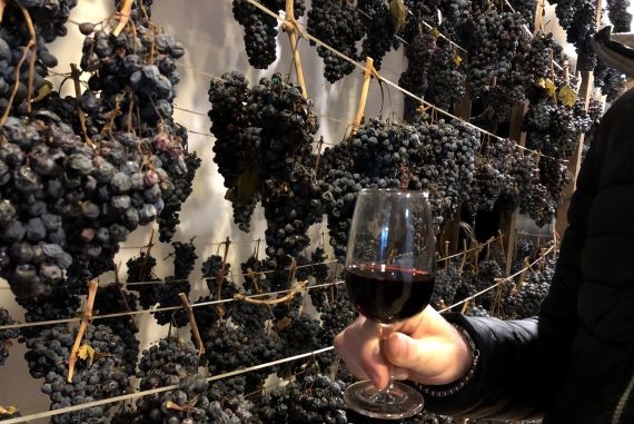 appassimento vino