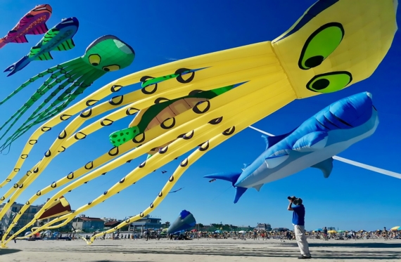 cate-cervia-2020-copia-scaled 570