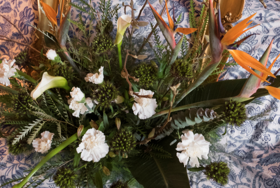 fiori5pdv