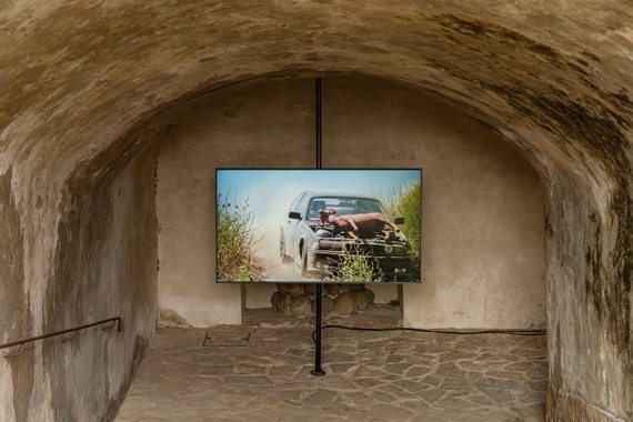 forte belvedere mostra melma 23 01