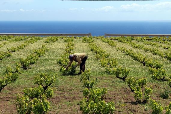 pantelleria2pdv