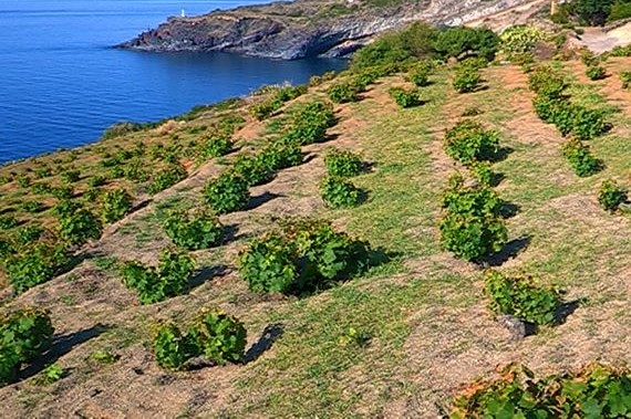 pantelleria3pdv