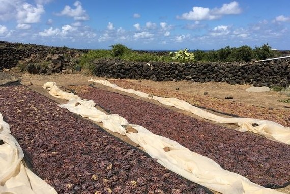 pantelleria4pdv