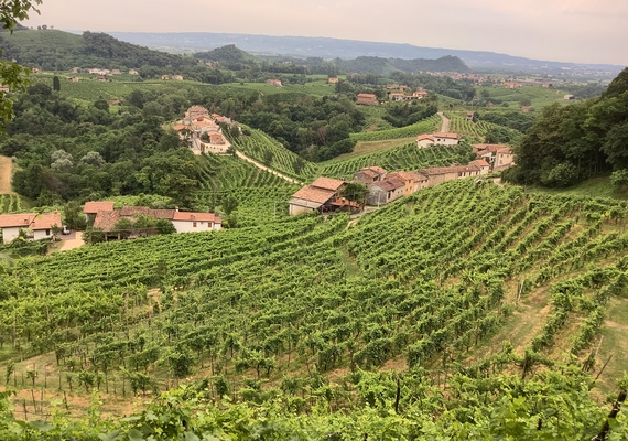 saccol si mostra valdobbiadene 06