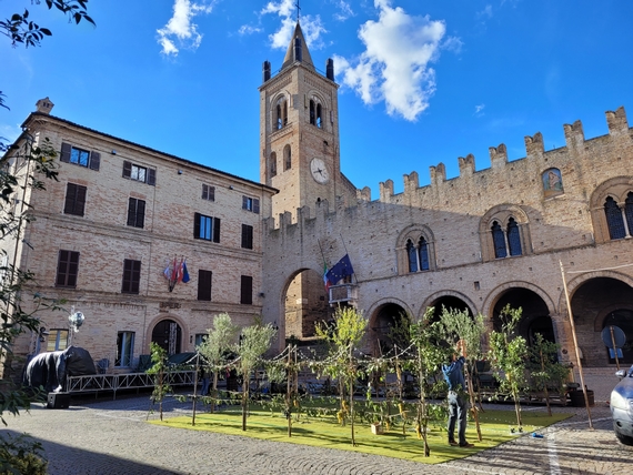 tipicità marche montecassino vendemmia 01 23