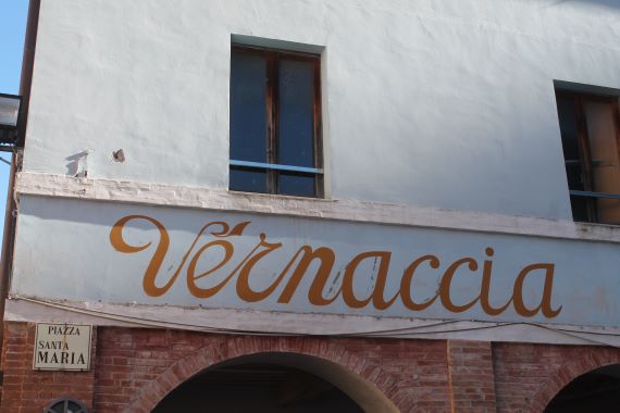 vernaccia