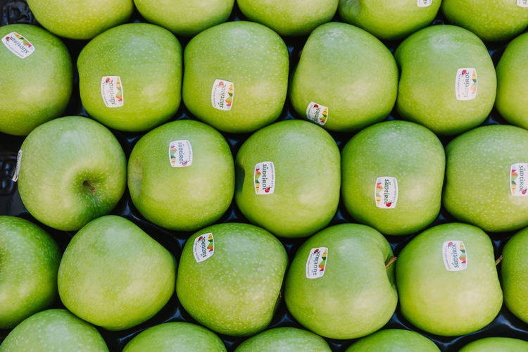 BOLZANO, SI CELEBRA IL FRUTTO DELLA MELA CON L'APFELFESTA ED INTERPOMA, DAL 21 AL 24 NOVEMBRE