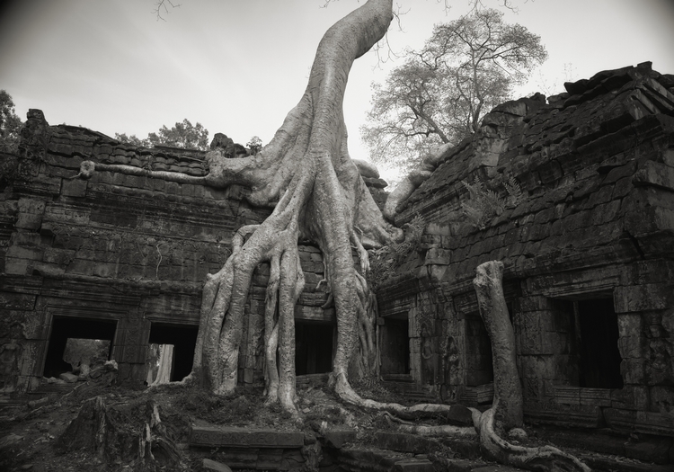 Kenro Izu Angkor 26 Cambodia 1993 570