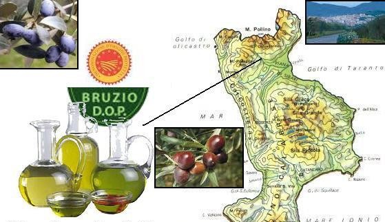 Bruzio calabria560