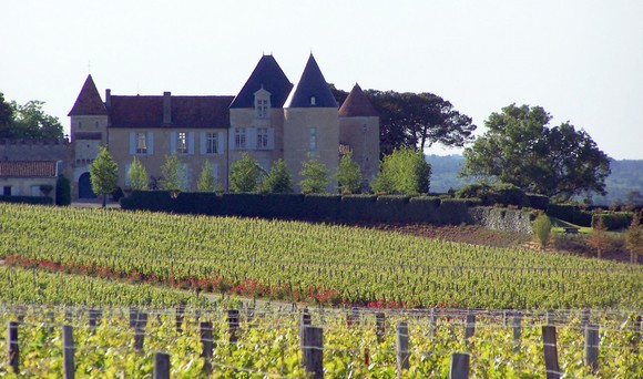 Château dYquem580