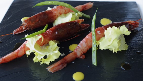 Excelsior Pesaro- 59 Restaurant580