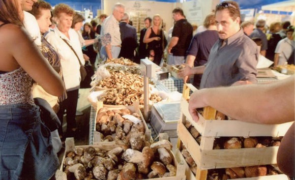 Fiera Nazionale del Fungo Porcino di Albareto