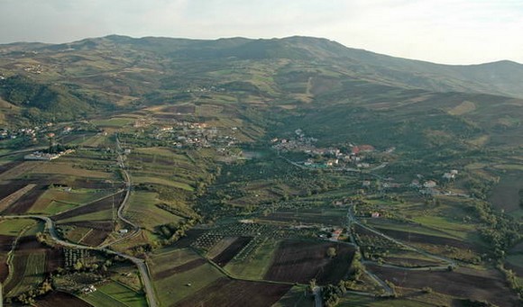 Filiano pecorino filiano dop