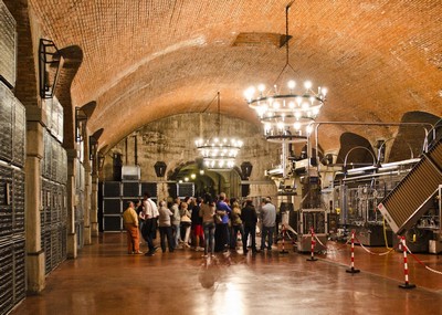 Franciacorta visita in cantina1