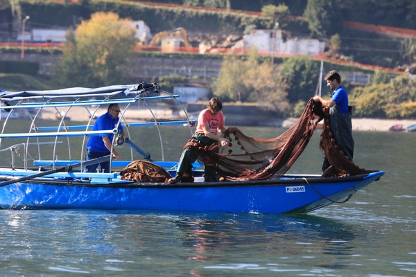 GDL Pescatori 600
