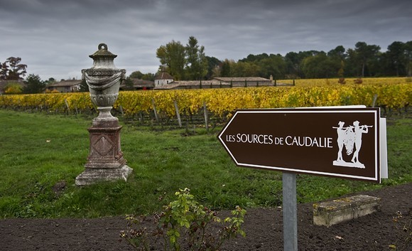 Indicazioni Château dYquem580b