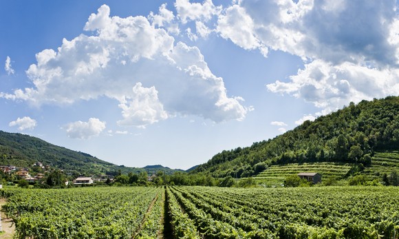 La Franciacorta580