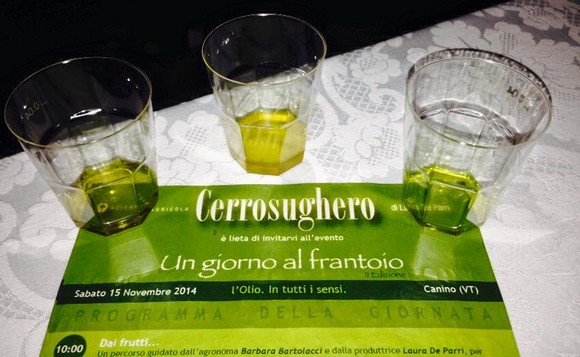 Olio cerrosughero canino