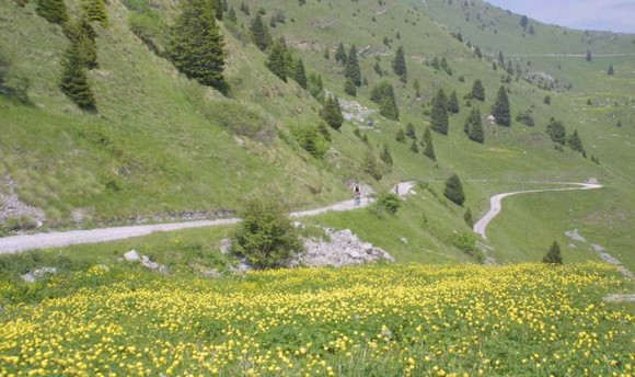 Parco-alto-Garda580