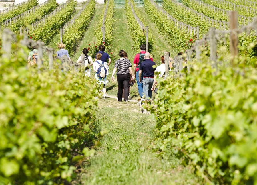 Passeggiate in Franciacorta