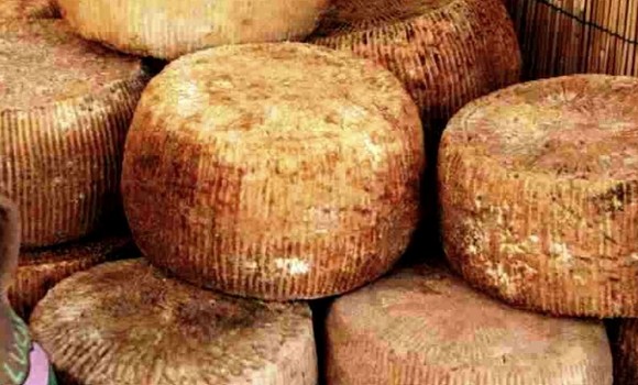 Pecorino di filiano dop580a