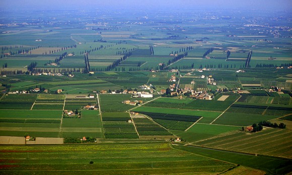 Provolone-Valpadana580 bis
