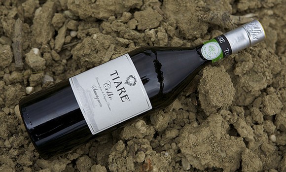 Tiare-Sauvignon580