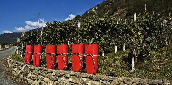 Valtellina Vigneti 580