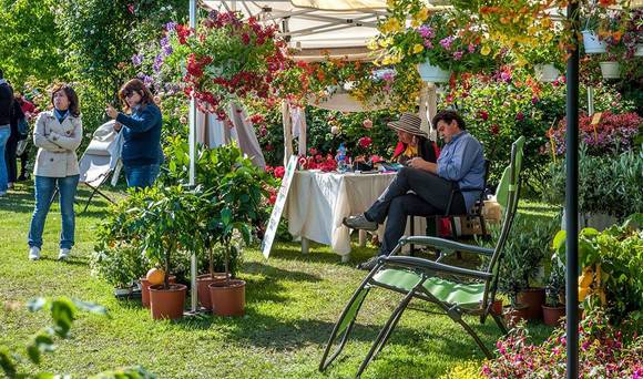 al di la giardino580