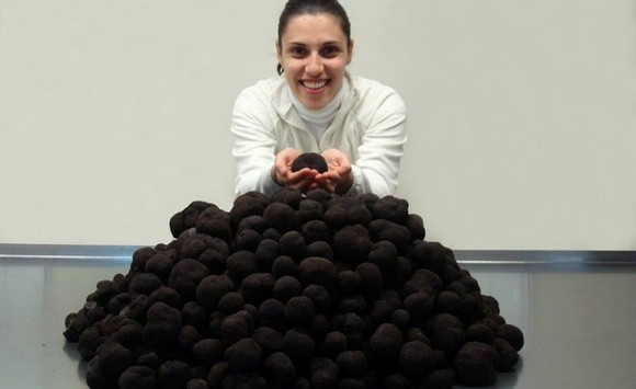 angellozzi tartufo nero pregiato