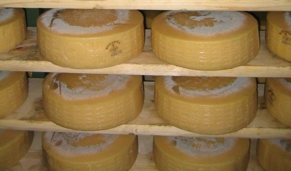 asiago dop580f