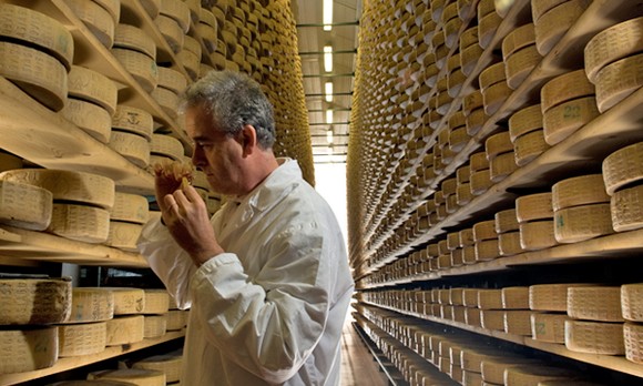 asiago dop580g2