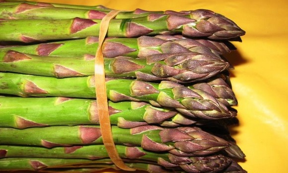 asparagialtedo580-a