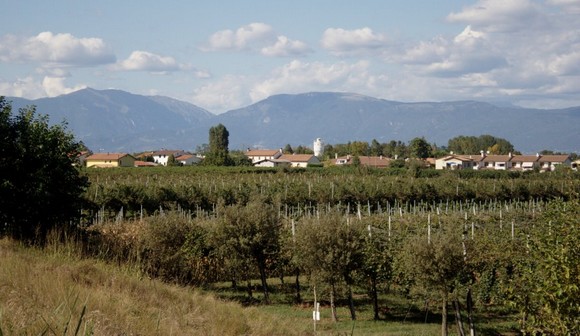 cimadolmo580