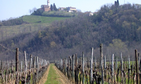 collio580 3