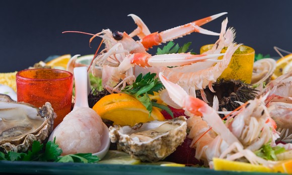 crudo580