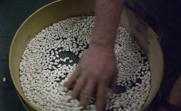 fagioli-di-sorana igp580c