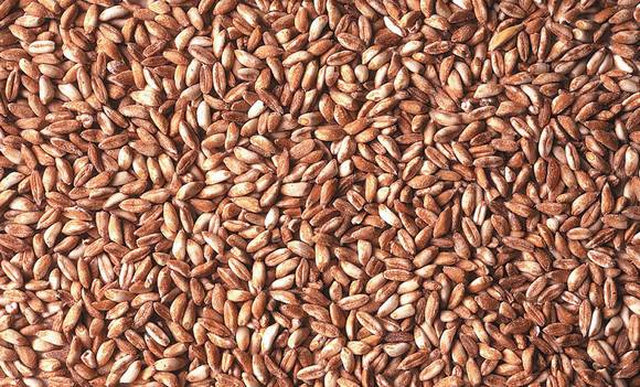 farro garfagnana igp580a