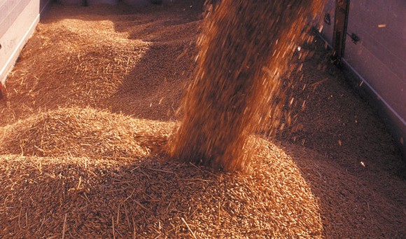 farro garfagnana igp580f