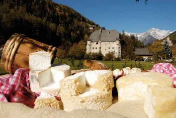 festival del formaggio