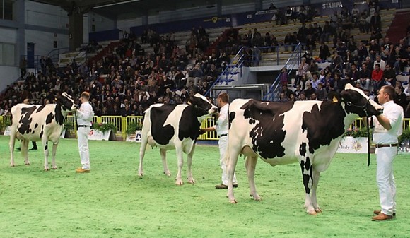 fiera bovino latte580