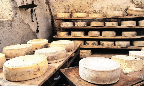 forme-formaggio580