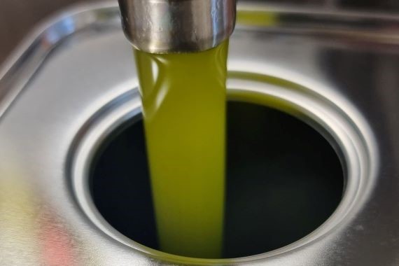 frantoi7PDV