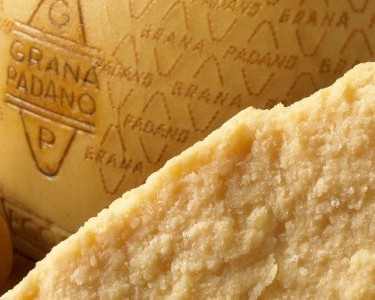 grana-padano
