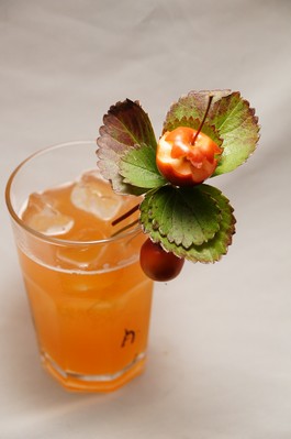 lady drink 2014 ST GERMAIN580