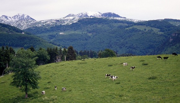 lessinia580